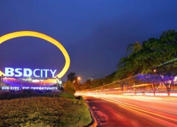 BSD City (PingPoint)